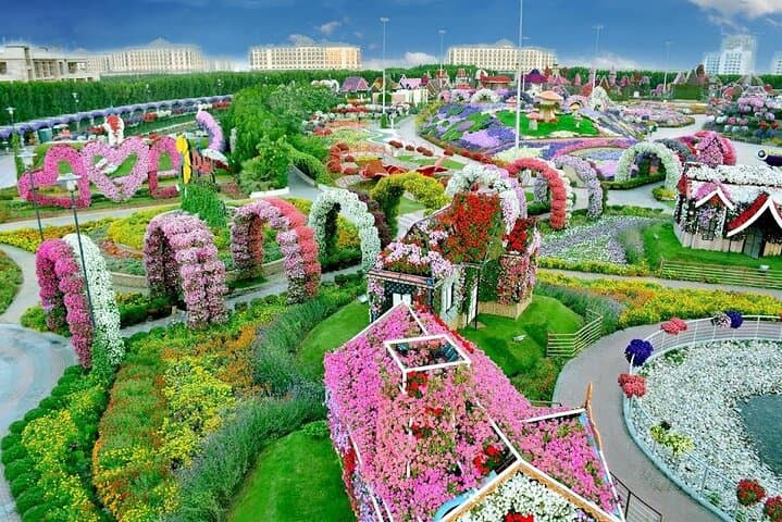 Dubai Miracle Garden & Butterfly Garden Combo: Visitor Guide, Tips and Photos photo 4