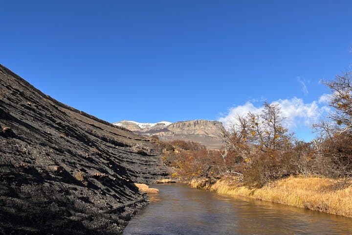 Private Birdwatching & Wildlife Tour — Vega Castillo Wetland from Puerto Natales photo 4