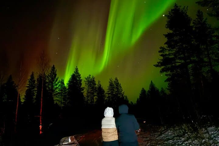 Northern Lights Hunting in Rovaniemi: Evening Aurora Tour Beyond the Arctic Circle