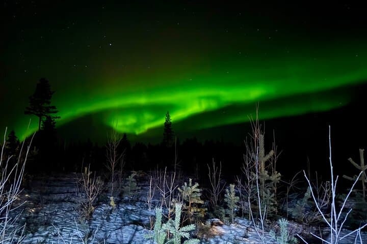 Northern Lights Hunting in Rovaniemi: Evening Aurora Tour Beyond the Arctic Circle photo 4