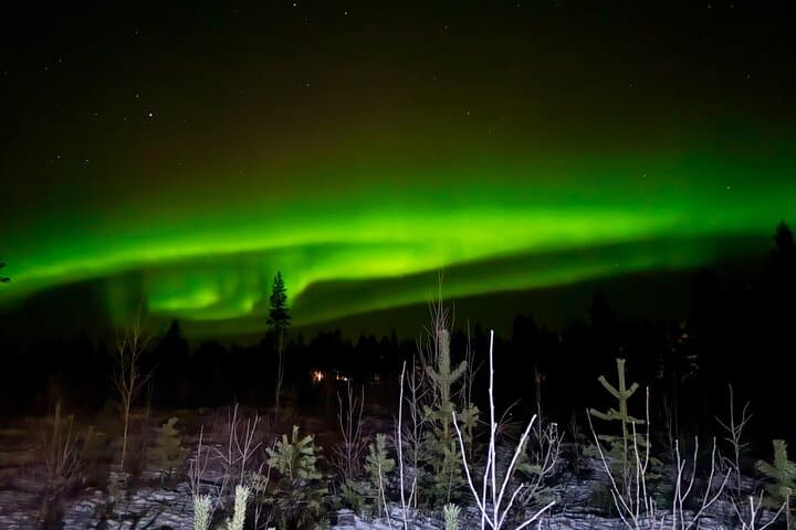 Northern Lights Hunting in Rovaniemi: Evening Aurora Tour Beyond the Arctic Circle photo 5