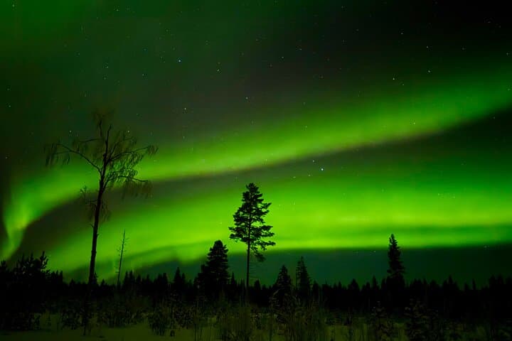 Northern Lights Hunting in Rovaniemi: Evening Aurora Tour Beyond the Arctic Circle photo 6