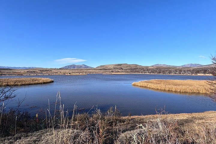 Private Birdwatching & Wildlife Tour — Vega Castillo Wetland from Puerto Natales