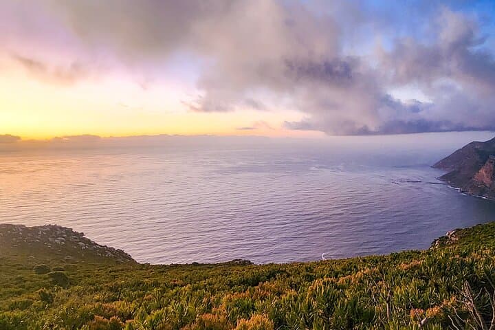 Chapman's Peak Guided Coastal Hike: Scenic Views from Hout Bay to Noordhoek photo 3