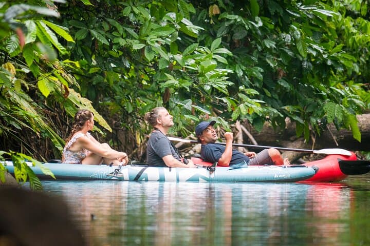 Punta Uva Sloth & Kayak Tour — Ethical Wildlife Encounters in Costa Rica photo 3