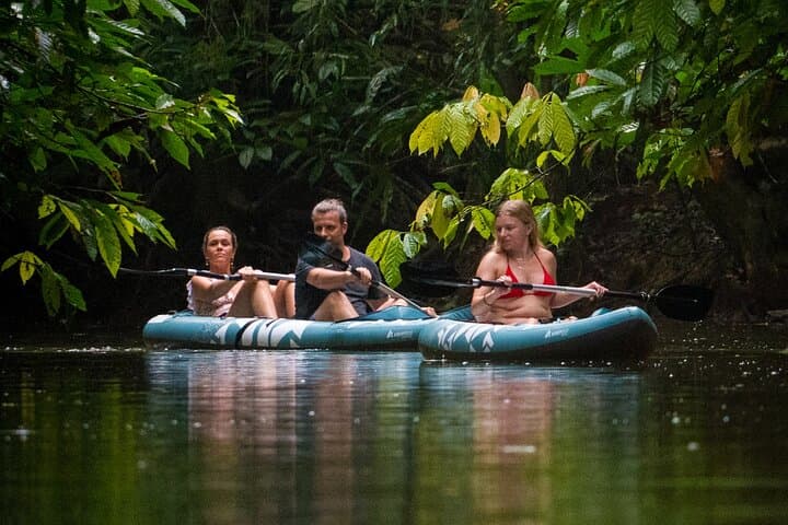 Punta Uva Sloth & Kayak Tour — Ethical Wildlife Encounters in Costa Rica photo 4