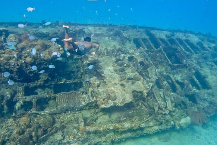 Private Catamaran Sail & Snorkel: West Coast Barbados Turtles & Reefs photo 3