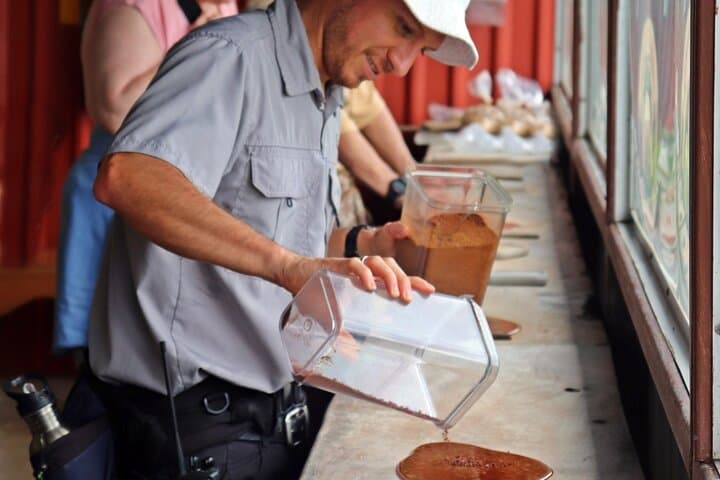 Monteverde Coffee, Chocolate & Sugarcane Farm Tour in the Cloud Forest photo 2