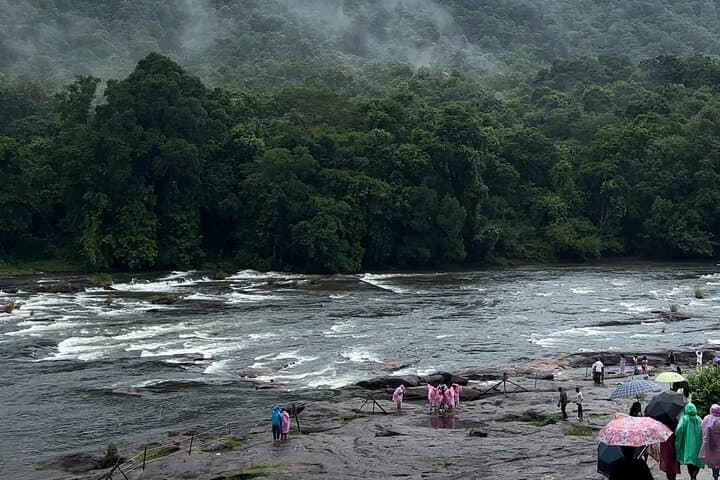 Athirappilly Waterfalls Day Trip from Kochi — Scenic Drive, Short Trek & Wildlife photo 5