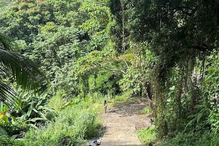 Charco El Hippie: Swim Caves & Clear Pools in Naguabo photo 5