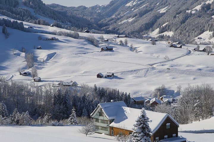 Private Swiss Alps Day Tour from Zurich — Klausenpass, Urnerboden & Raclette Picnic photo 3