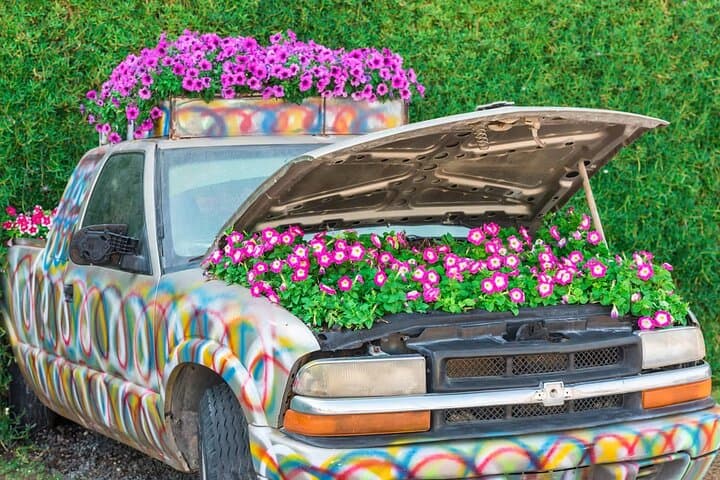 Dubai Miracle Garden Skip-the-Line Tickets: Visiting the World’s Largest Flower Display photo 3