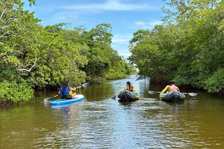 Paddle Fort Lauderdale Mangroves: Kayak & SUP Eco Adventure photo 4