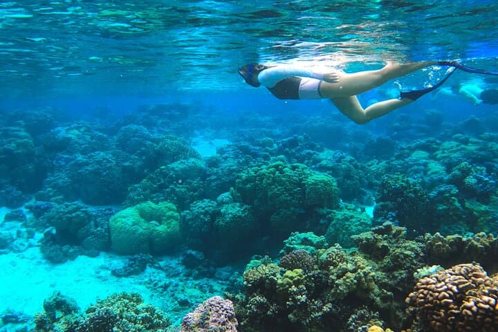 Private Bora Bora Lagoon Tour: Snorkel Rays & Sharks on a Boat with Slide photo 5