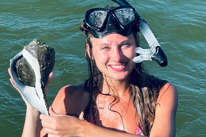Sanibel Eco Boat Charter: Full-Day Gulf & Pine Island Exploration photo 6