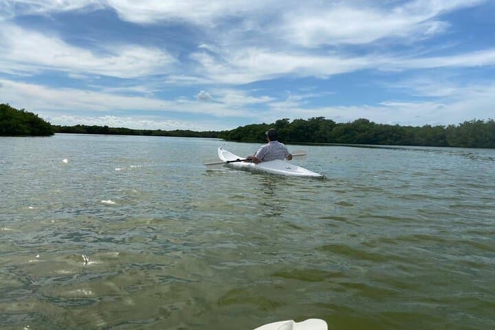 Paddle Holbox Mangroves: Kayak to Punta Mosquito for Birds, Sandbars & Shallow Seas photo 2