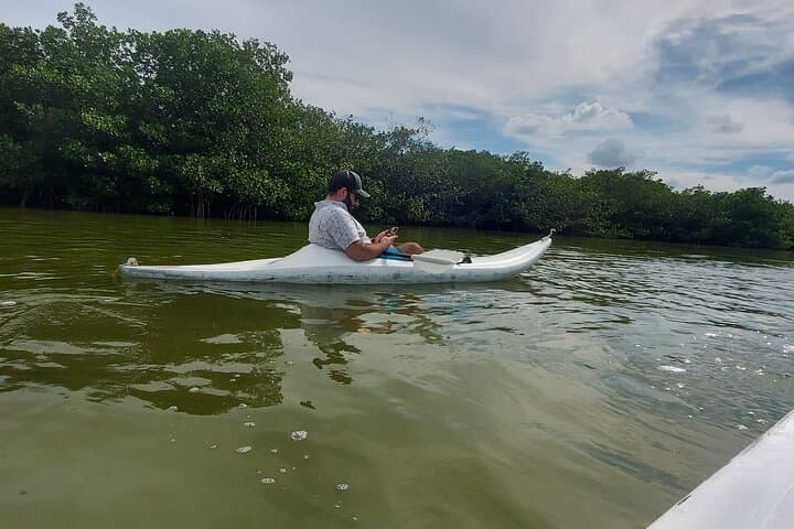 Paddle Holbox Mangroves: Kayak to Punta Mosquito for Birds, Sandbars & Shallow Seas photo 5