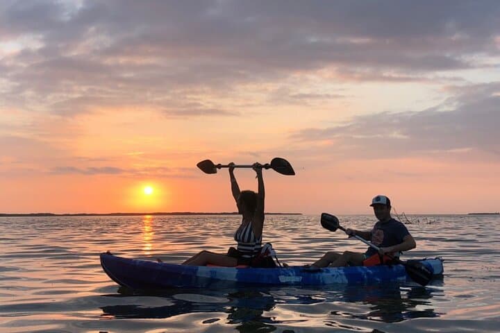 Paddle Holbox Mangroves: Kayak to Punta Mosquito for Birds, Sandbars & Shallow Seas photo 6