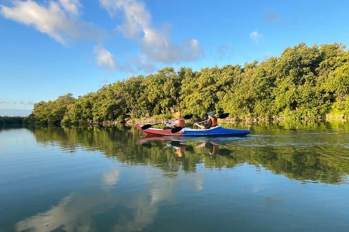 Paddle Holbox Mangroves: Kayak to Punta Mosquito for Birds, Sandbars & Shallow Seas photo 4