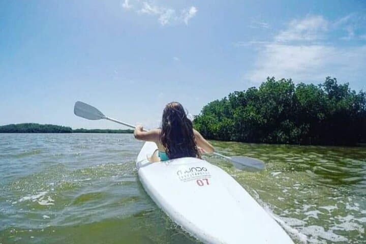 Paddle Holbox Mangroves: Kayak to Punta Mosquito for Birds, Sandbars & Shallow Seas