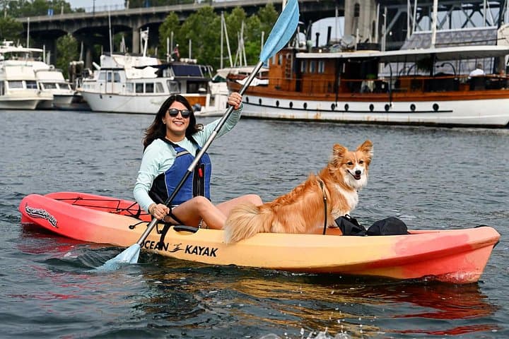 Paddle Vancouver: Granville Island Kayak & SUP Rentals on False Creek photo 5
