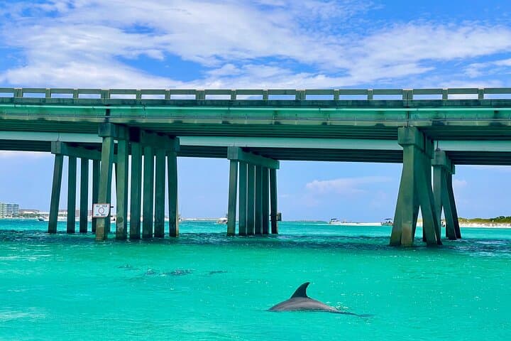Destin Pontoon Rental to Crab Island — Self-Guided Boat Charter photo 2