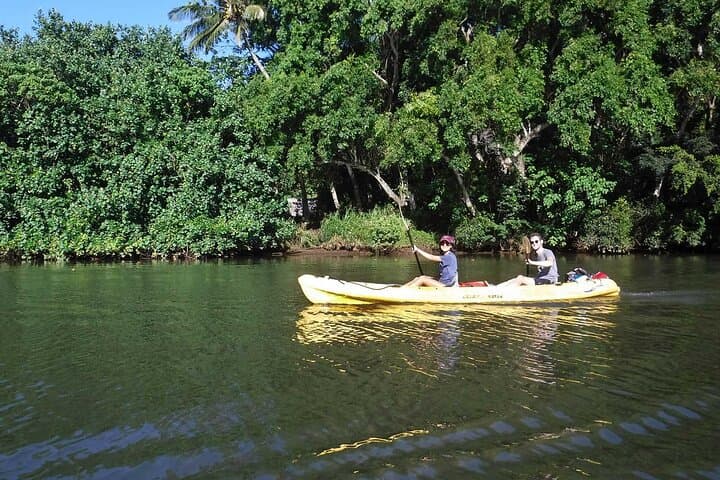 Wailua River Paddle: Guided Kayak Tour on Kauai’s Sacred Waterway photo 3