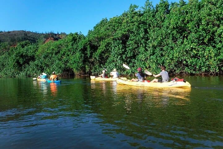 Wailua River Paddle: Guided Kayak Tour on Kauai’s Sacred Waterway photo 4