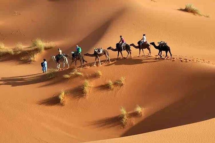 3-Day Sahara Tour from Marrakech to Merzouga — Erg Chebbi Camel Trek & Camp photo 1