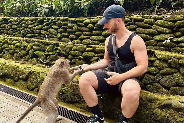 Ubud Full-Day Tour: Monkey Forest, Tegalalang Rice Terraces, Bali Swing & Two Waterfalls photo 6