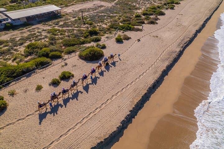 Desert Camel Ride in Los Cabos: 3-Hour Safari with Buffet & Tequila Tasting photo 4