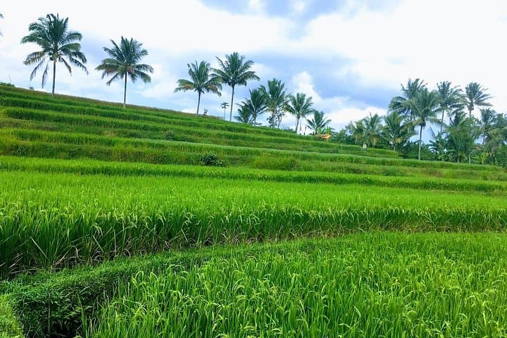 Lombok Waterfalls Trek: Benang Stokel & Benang Kelambu Day Tour photo 3