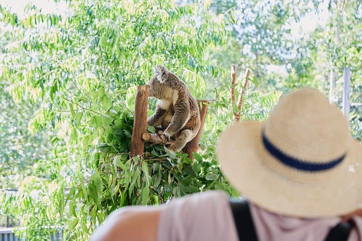 Private Luxury Blue Mountains Tour: Three Sisters & Wentworth Falls Day Trip from Sydney photo 3