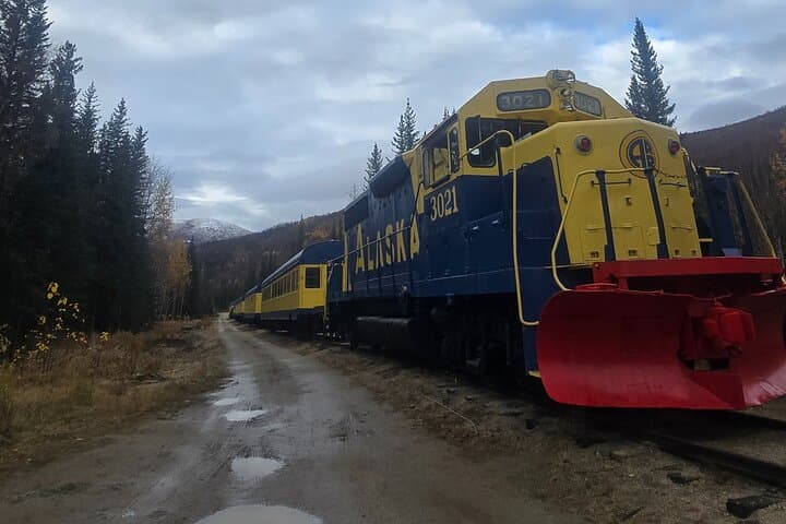 Fire & Ice — Chena Hot Springs Northern Lights Tour from Fairbanks photo 6