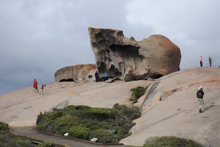 Flinders Chase National Park & Seal Bay: Full-Day Kangaroo Island Cruise Excursion photo 3