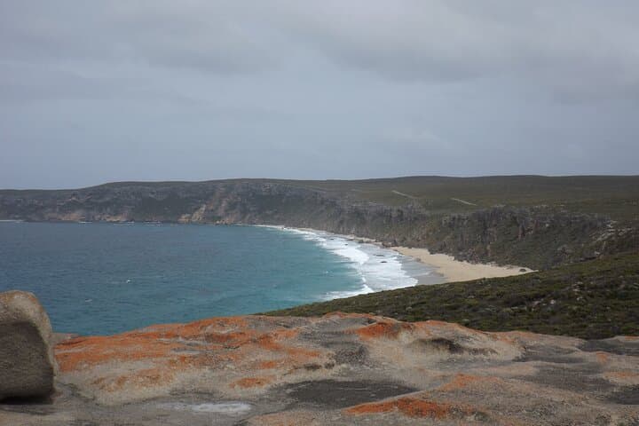 Flinders Chase National Park & Seal Bay: Full-Day Kangaroo Island Cruise Excursion photo 5