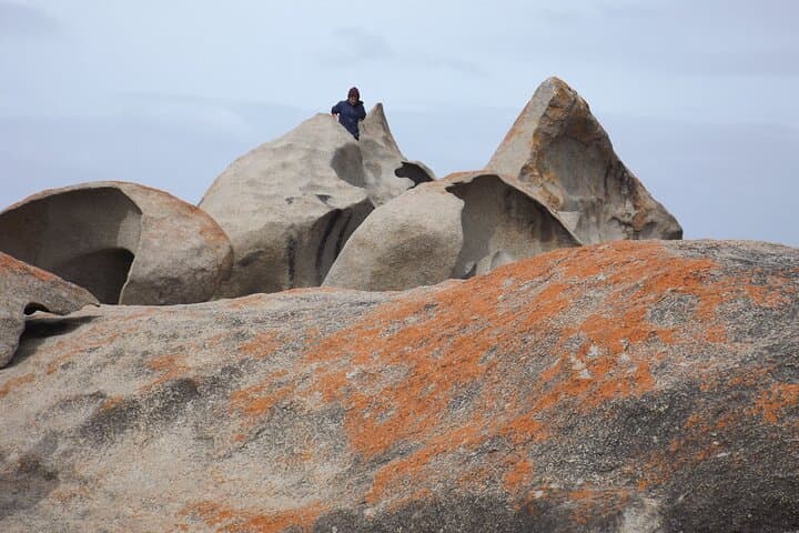 Flinders Chase National Park & Seal Bay: Full-Day Kangaroo Island Cruise Excursion photo 6