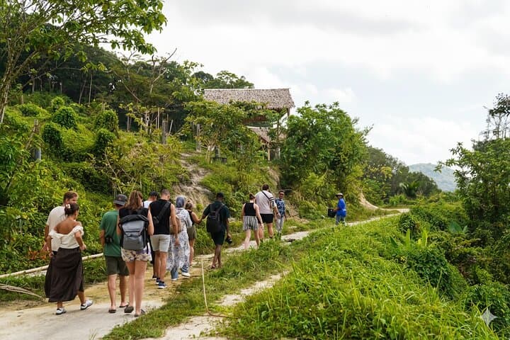 Phuket Ethical Elephant Sanctuary: Small-Group Sanctuary Visit with Hotel Transfers photo 4