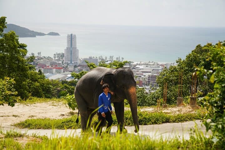Phuket Ethical Elephant Sanctuary: Small-Group Sanctuary Visit with Hotel Transfers photo 2