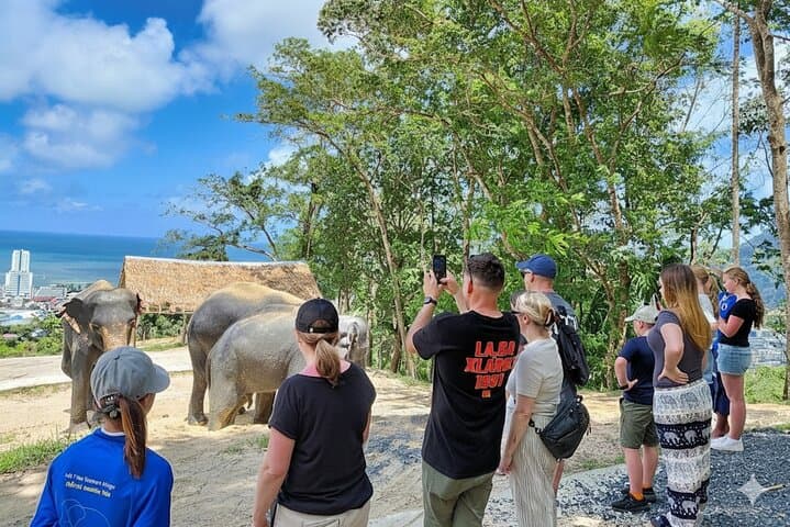 Phuket Ethical Elephant Sanctuary: Small-Group Sanctuary Visit with Hotel Transfers photo 5