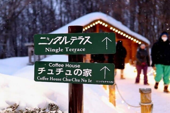 Private Biei & Furano Scenic Day Tour — Christmas Tree, Patchwork Road & Ningle Terrace