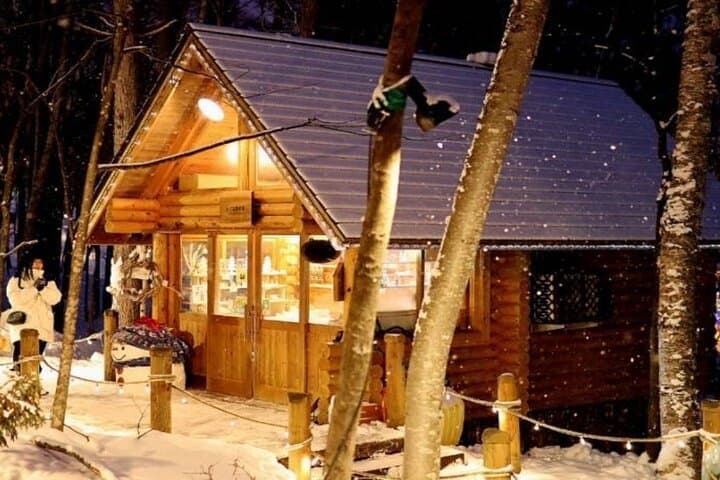 Private Biei & Furano Scenic Day Tour — Christmas Tree, Patchwork Road & Ningle Terrace photo 3