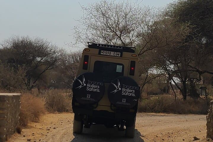 Day Trip Tarangire Safari from Arusha – Full-Day Game Drive & Picnic
