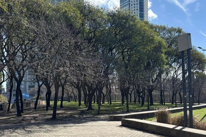 Women Behind Puerto Madero Streets Self-Guided Walking Tour photo 3