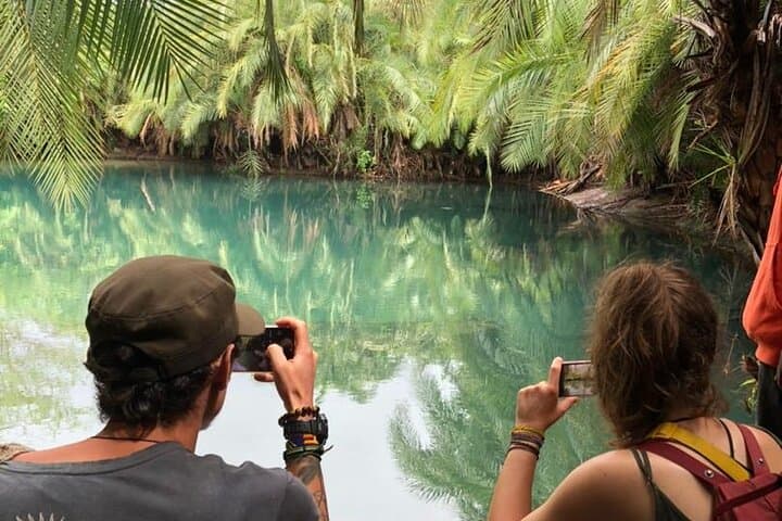 Chemka Hot Springs (Maji Moto) Day Trip from Moshi — Swim, Swing & Local Flavors