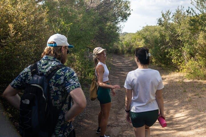 Mornington Peninsula Wine & Hot Springs Day Tour — Arthur's Seat to Peninsula Hot Springs photo 2