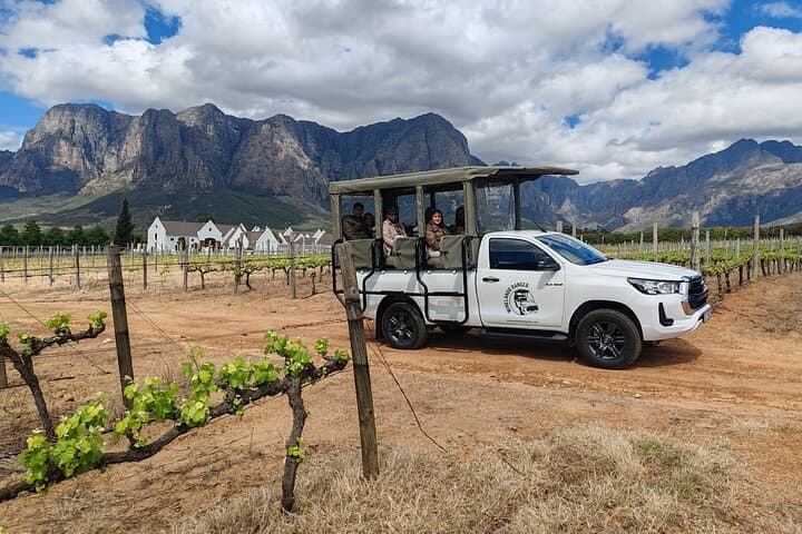 Open-Air Wine Safari in Franschhoek: Tasting Tour Through the Cape Winelands photo 4