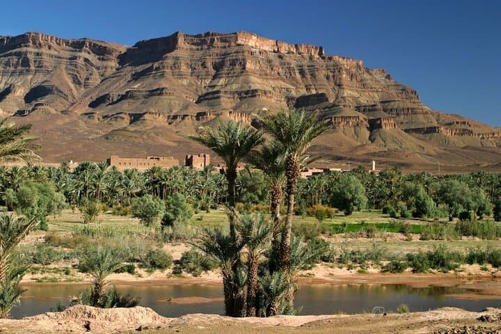 Quad Through the Draa Valley: Half-Day Heritage Nature Adventure from Agdz