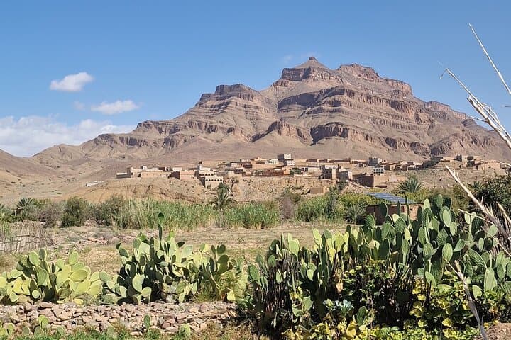 Quad Through the Draa Valley: Half-Day Heritage Nature Adventure from Agdz photo 3