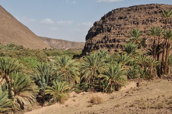 Quad Tour to Draa Valley & Tizgui Waterfall: Half-Day Off-Road Adventure